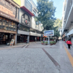 Properties Vasant Vihar
